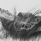 Teeth