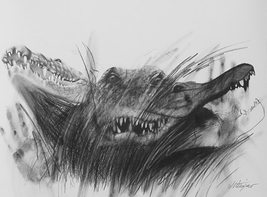 TEETH - charcoal on paper artwork by Sherrie Pettigrew