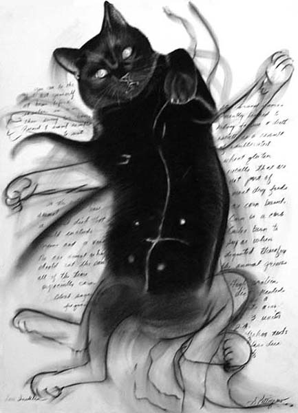LESS INSULIN - charcoal on paper artwork by Sherrie Pettigrew